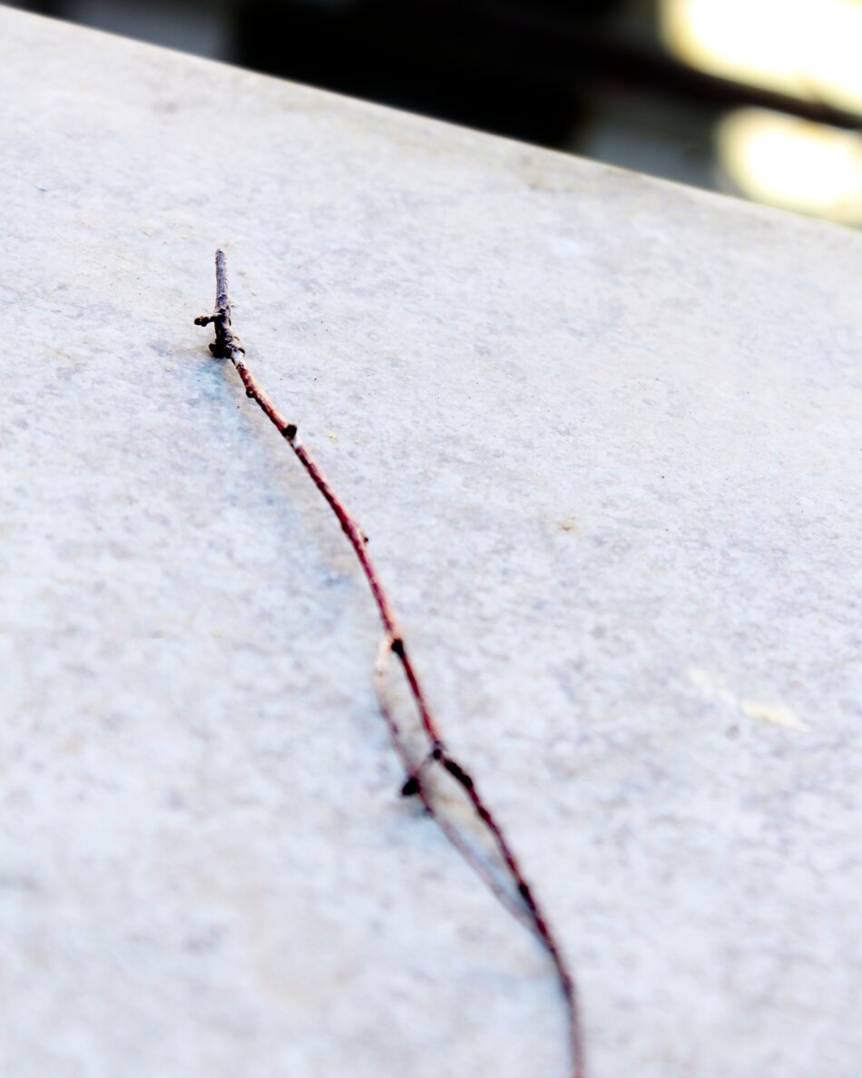 Close-up photograph of a delicate, thin reddish-brown twig resting diagonally across a smooth, light gray metal windowsill. The twig creates a striking minimalist composition against the textured metal surface, with soft focus at the edges.