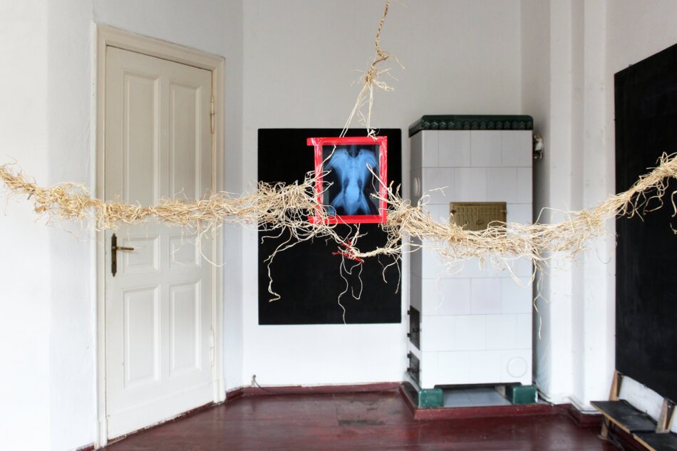An installation featuring a framed x-ray of a bird suspended from a raffia cord with branches and metallic enameled wire elements attached. The artwork is displayed in a room with white walls, a wooden door, a black chalkboard, and a white stove.