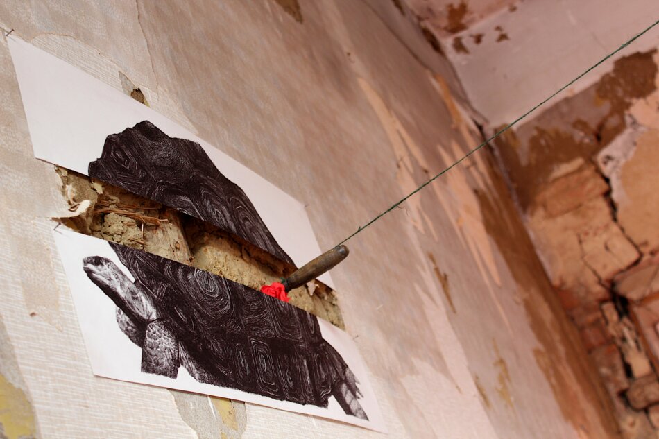 A black and white print of a turtle is embedded in a cracked wall. A red detail and a thin wire are attached to the print.