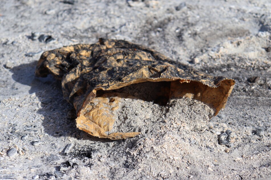 Paper bag, partially covered in burned vegetation, spilling gray powdery substance onto the ground.