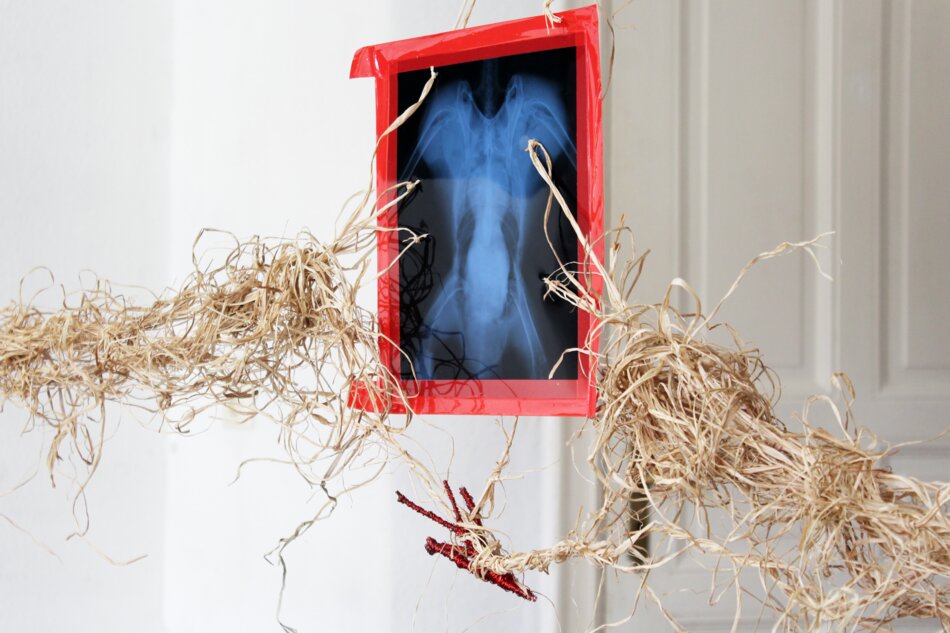 An artwork made with raffia featuring a framed x-ray of a bird and an object made from branches and metallic enameled wire.
