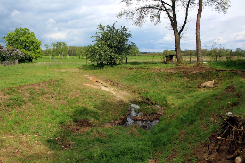 A small pond surrounded by grass and trees, with a cloudy sky in the background.